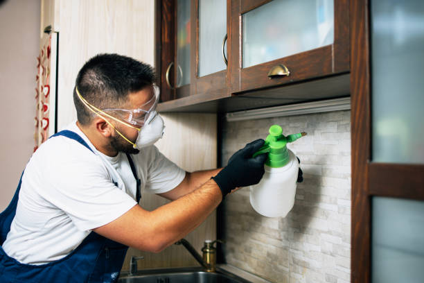 Best Pest Removal Services  in Middletown, DE